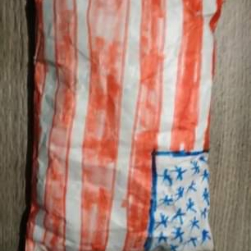 Usa flag paper squishy